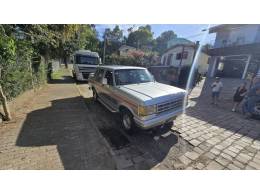 FORD - F-1000 - 1993/1993 - Cinza - R$ 81.900,00